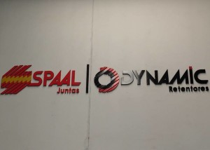 17308726_803563126460889_6752520983160339236_n